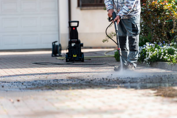 Best House Pressure Washing  in Mondovi, WI